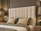 Cardiff  Bed